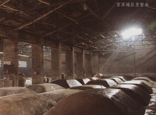 ʲô����ݾ������g�����¾��cꐾ�